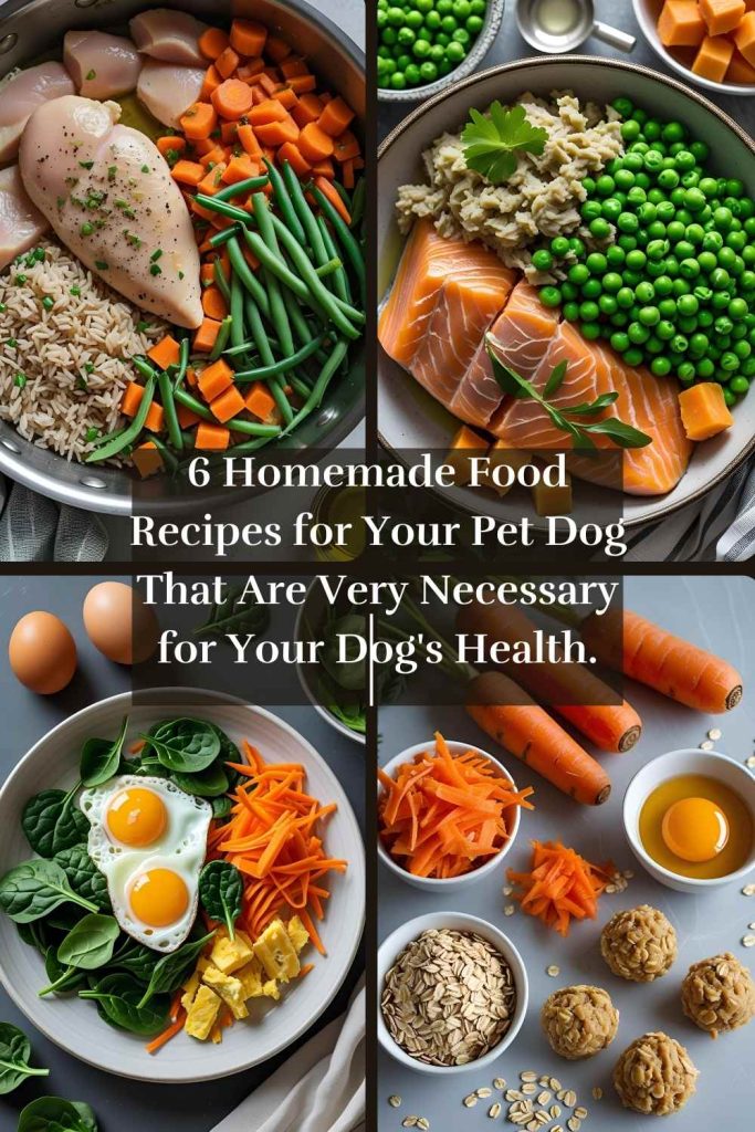 6 Homemade Food Recipes for Your Pet Dog That Are Very Necessary for Your Dog’s Health.