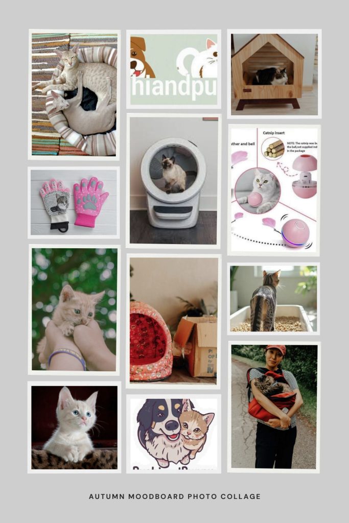 10 Must-Have Products Every Cat Owner Swears By