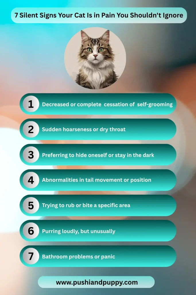Cat Care