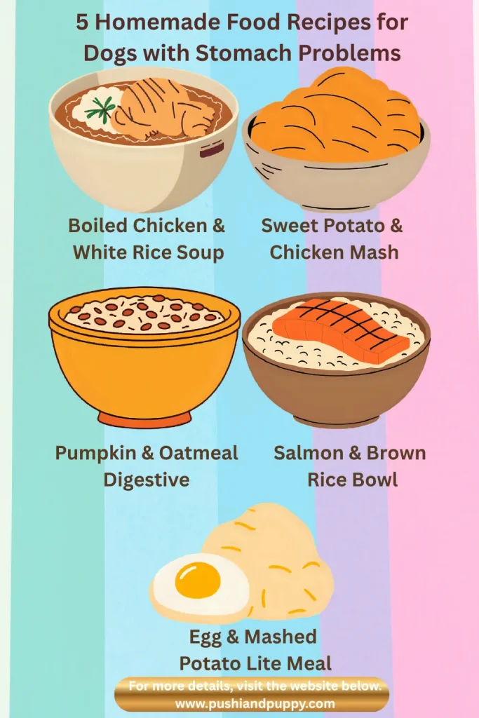 5 Homemade Food Recipes for Dogs with Stomach Problems  (Digestible, Safe, and Made with Love)