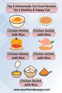 Top 5 Homemade Cat Food Recipes for a Healthy & Happy Cat
